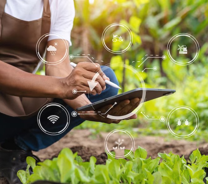 AgriBase Software Solutions | AgriBase Software Solutions (Pty) Ltd