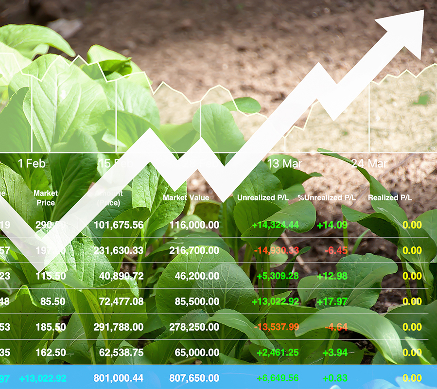 About | Agribase HQ